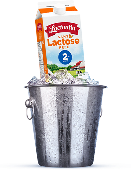 Lactose Free product image