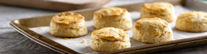 French Vanilla Breakfast Biscuits