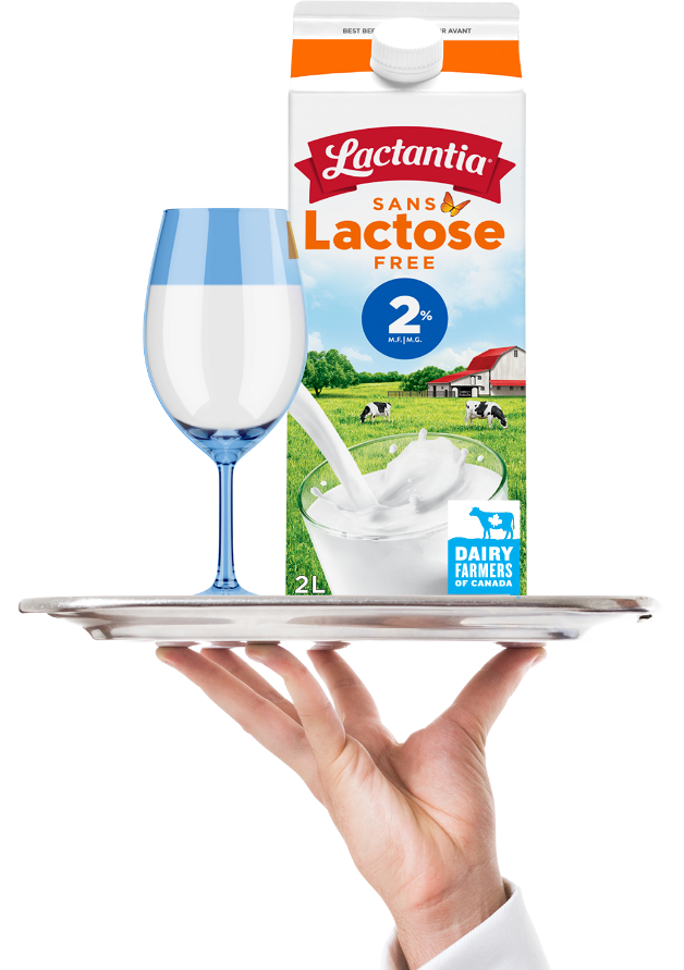 Lait Sans Lactose 3.25% Lactantia 2L